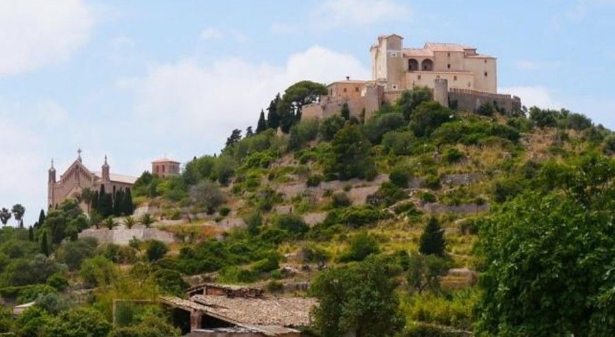 Eine alte Burg auf einem Berg mit Bäumen und einer Kirche