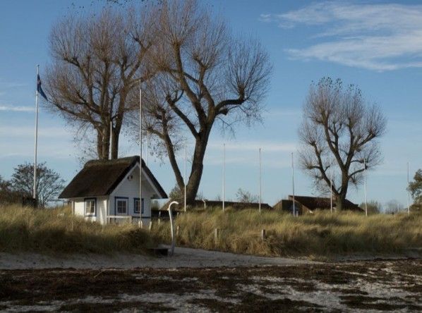 Eine weiße Hütte mit drei Bäumen im Hintergrund