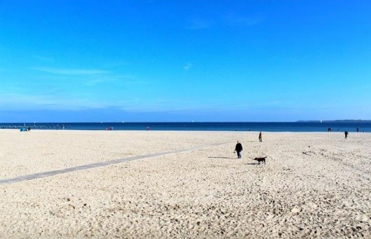Ein Strand mit einer Person und einem Hund